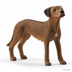 0977-13895 Rhodesian Ridgeback  