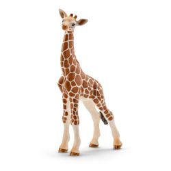 0977-14751 Giraffenbaby  