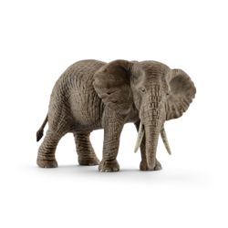 0977-14761 Afrikanische Elefantenkuh  