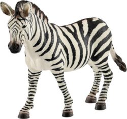 0977-14811 Zebra Fohlen  
